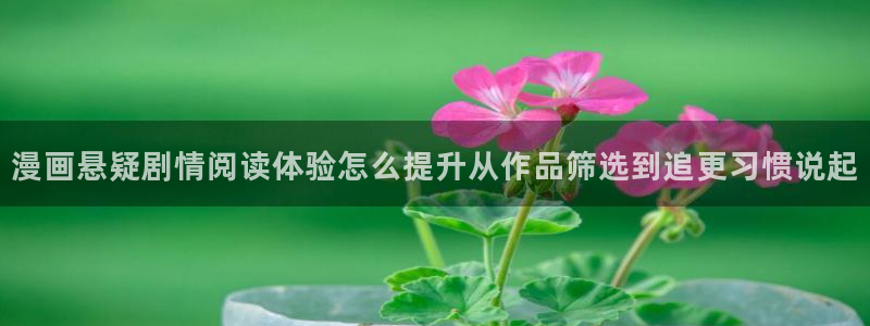 漫画岛网站：漫画悬疑剧情阅读体验怎么提升从作品筛选到追更习惯说起