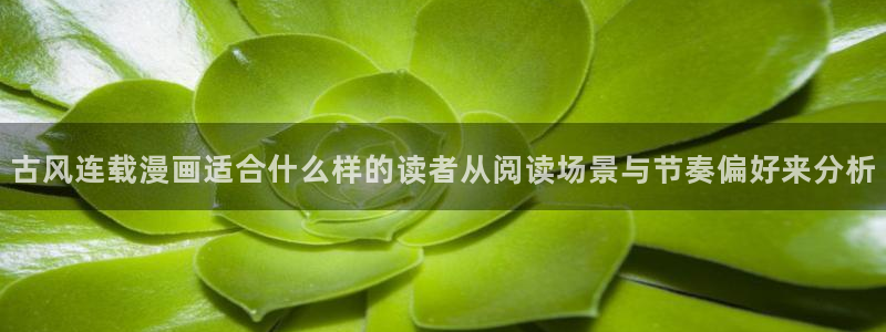 漫画岛入口:古风连载漫画适合什么样的读者从阅读场景与节奏偏好来分析
