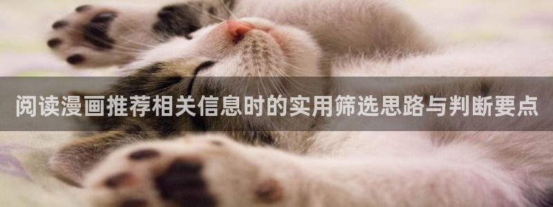 漫画岛入口地址：阅读漫画推荐相关信息时的实用筛选思路与判断要点