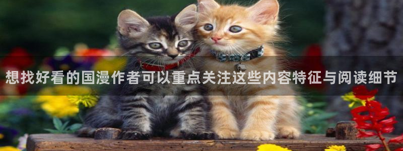 漫画岛在线看漫画:想找好看的国漫作者可以重点关注这些内容特征与阅读细节