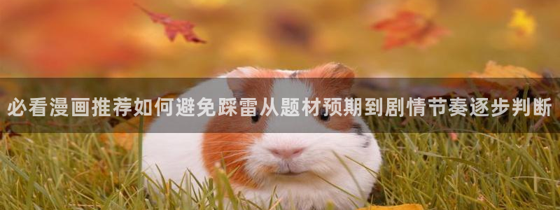 漫画岛漫画网址大全:必看漫画推荐如何避免踩雷从题材预期到剧情节奏逐步判断