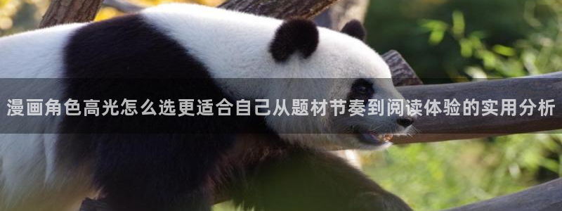 漫画岛网页导航
